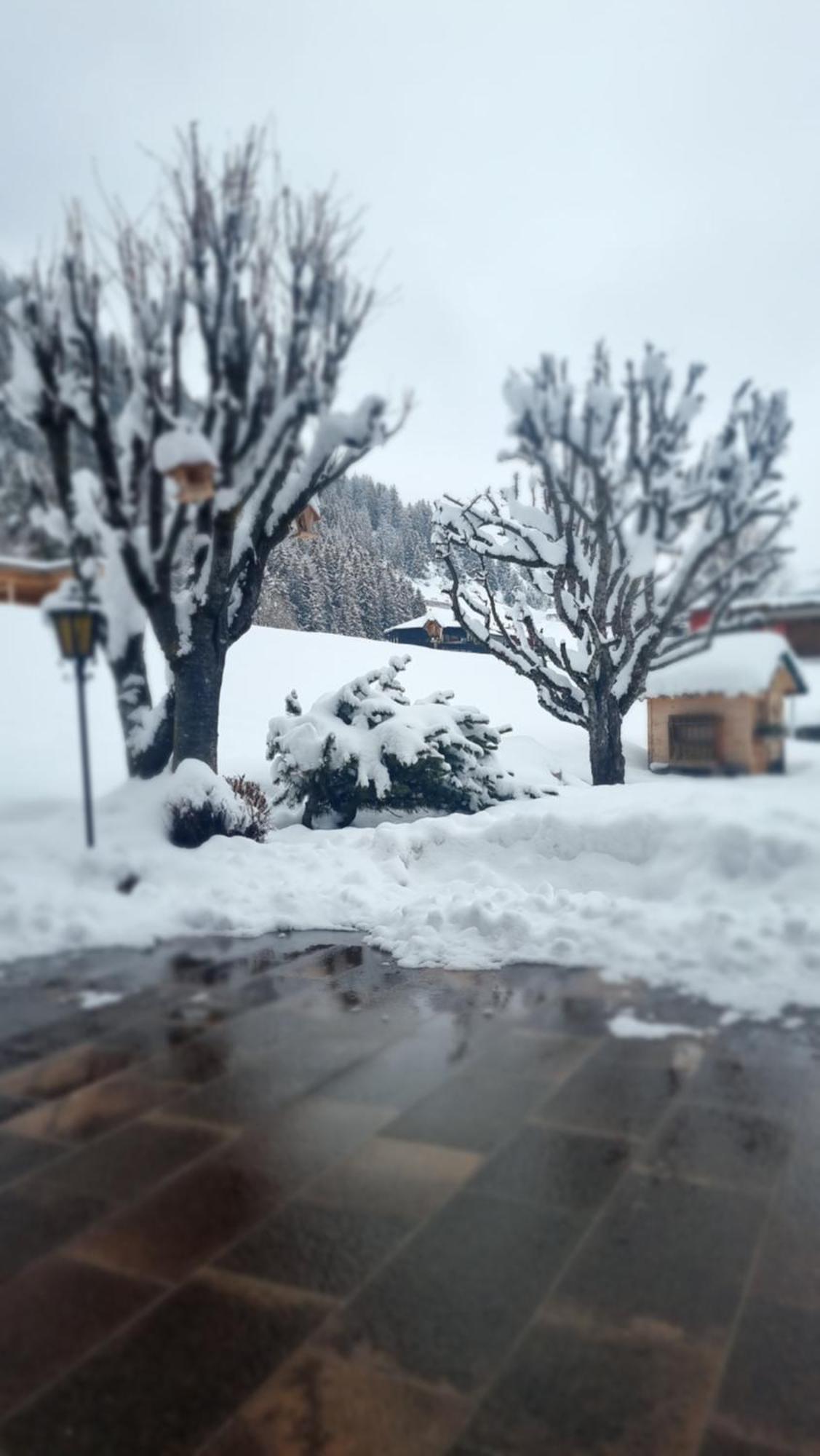 B&B Ciauceia Selva di Val Gardena Exteriér fotografie