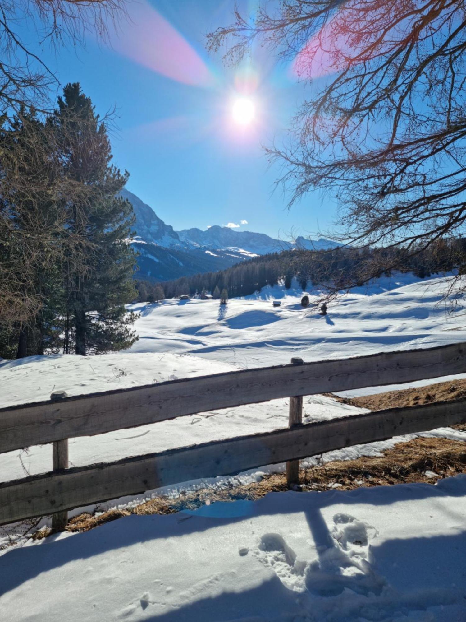 B&B Ciauceia Selva di Val Gardena Exteriér fotografie